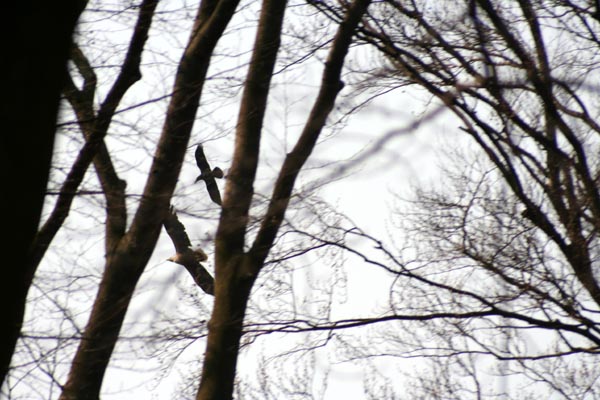 Killikus&reg; Fotographie